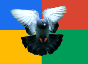 pigeon taking flight