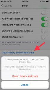 safari clear mobile search history